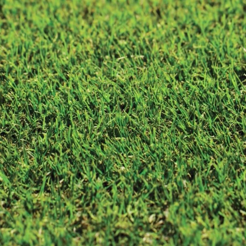 INSTANT TURF - NULLABOR SANTA ANNA COUCH