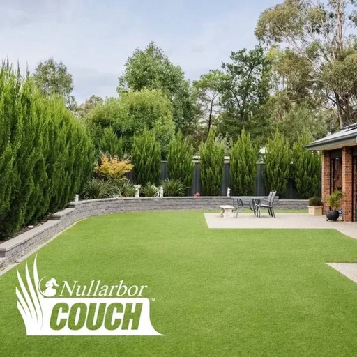 [321172] INSTANT TURF - NULLARBOR SANTA ANA COUCH